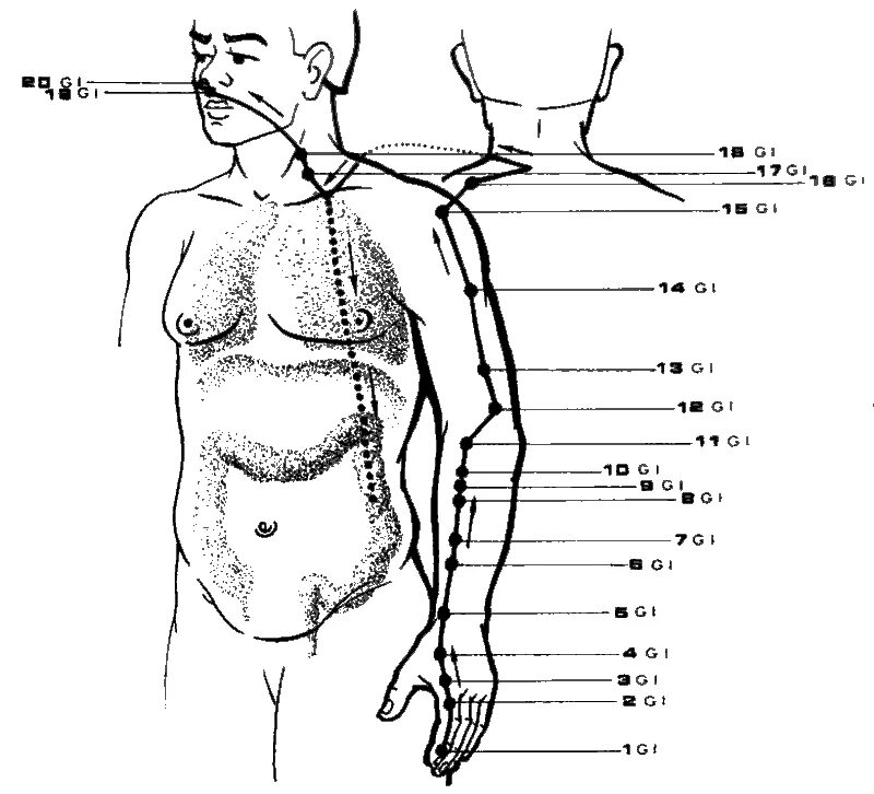 Первая основная точка. Акупунктура Меридиан Толстого кишечника. Канал Толстого кишечника акупунктурные точки. Меридиан Толстого кишечника точки акупунктуры. Меридиан легких точки акупунктуры.