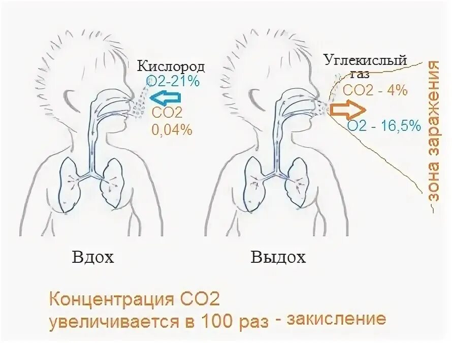 При дыхании человек выдыхает углекислый газ