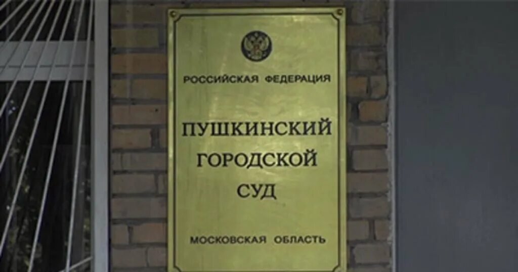 Сайт пушкинского городского суда московской области. Пушкинский суд. Пушкинский городской суд. Пушкинский районный суд Московской области. Пушкинский районный суд СПБ.