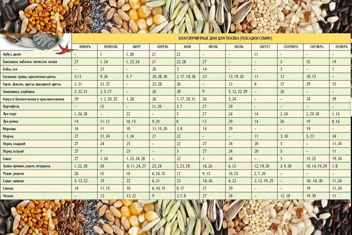 Благоприятные дни для высадки рассады томатов. Дни посадки томатов в мае. Календарь посадки рассады помидор. График посадки помидор. Благоприятные посадочный дни май.
