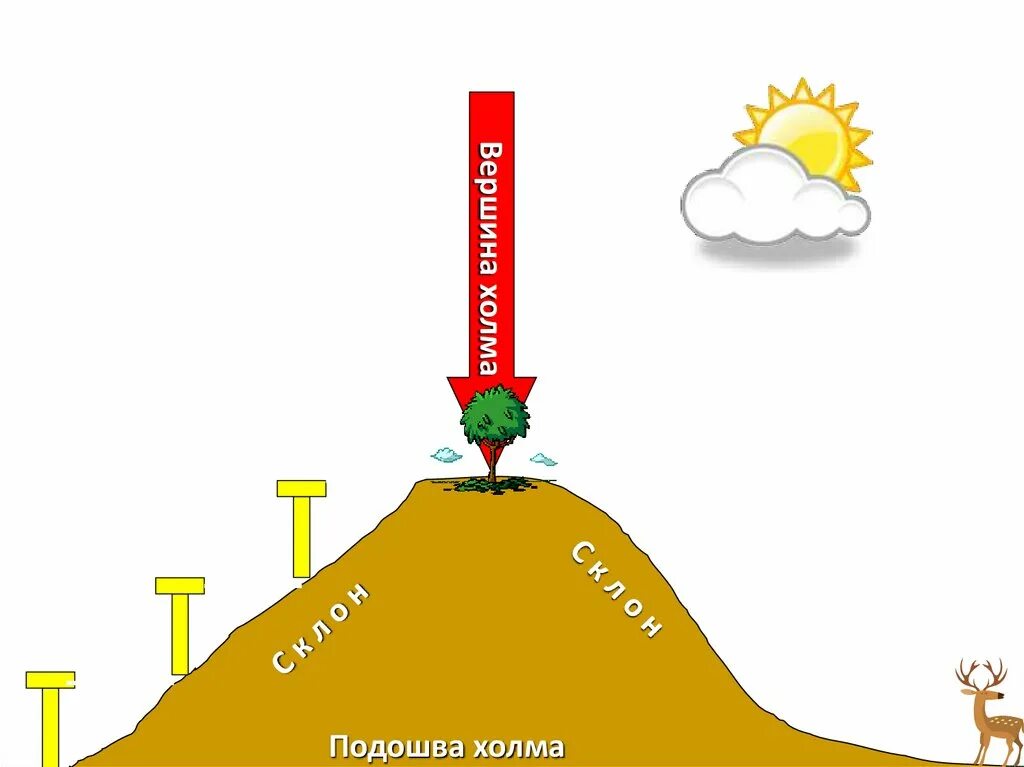 Подошвы склонов. Подошва холма. Строение холма. Подошва холма фото. Подошва склона.