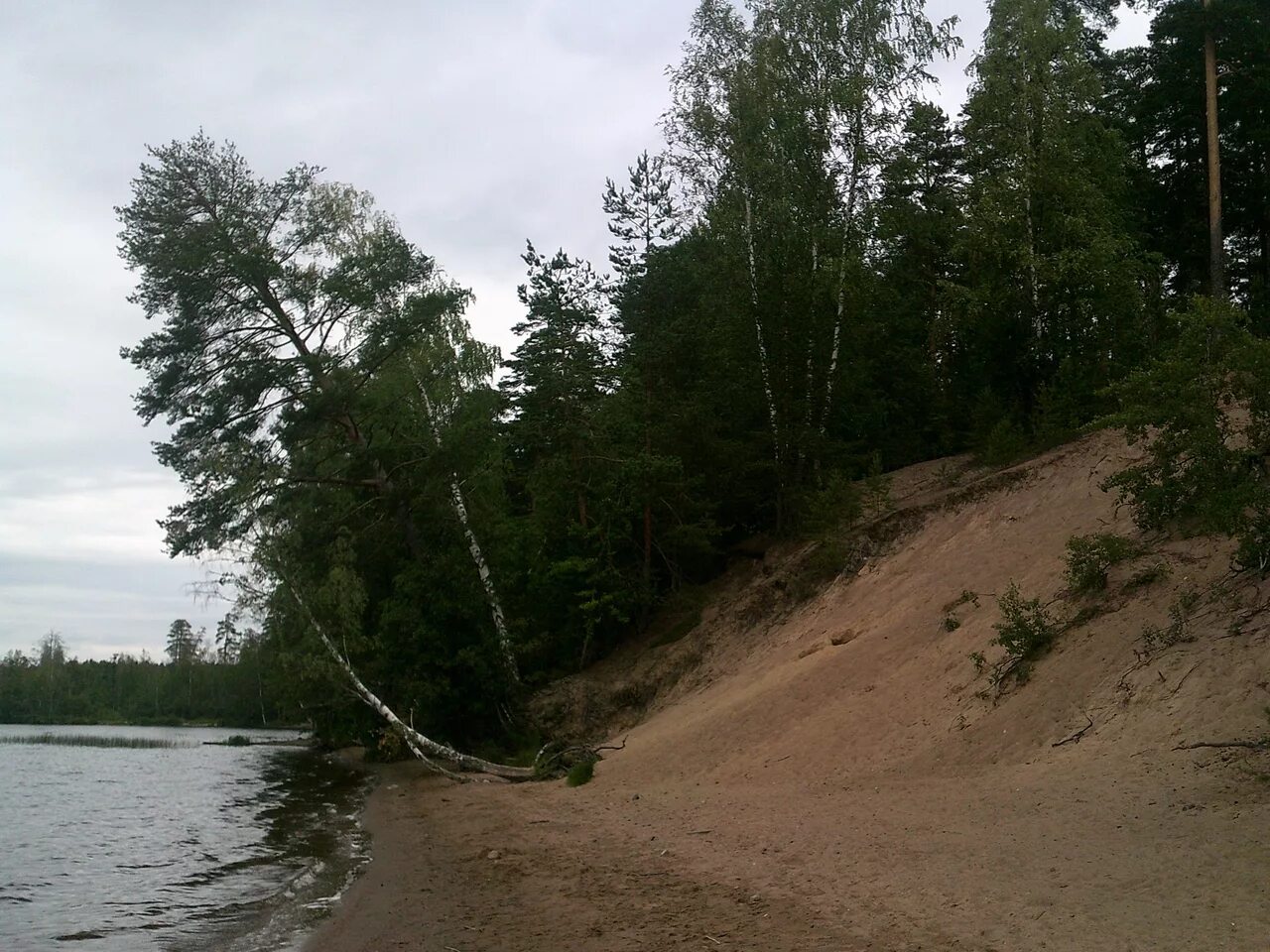 озера 2 сестры. симагинское озеро ленинградская область зимой. озеро красавица зеленогорск. заказник ламмин суо. большое симагинское озеро тропа здоровья.