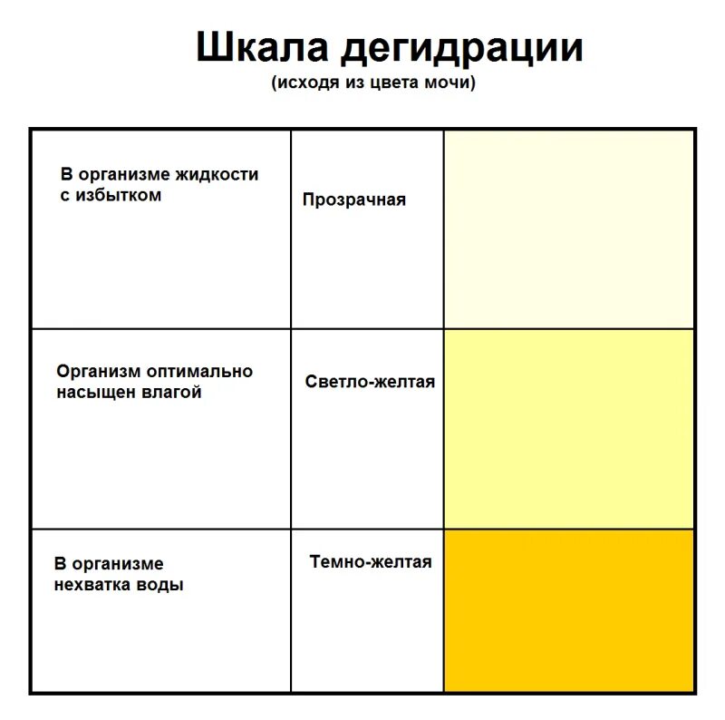 Почему темнеет моча. Моча аномального цвета. нормальный цвет мочи при беременности. нормальный цвет мочи. шкала цвета мочи.