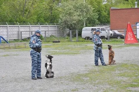 Цкс г орска