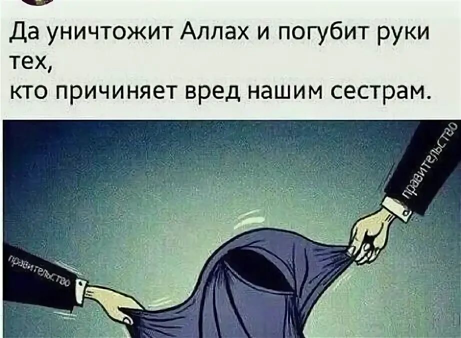 Этого мы предоставляем данную