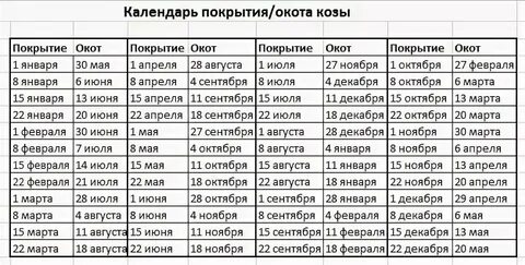 Таблица окотов коз и покрытий