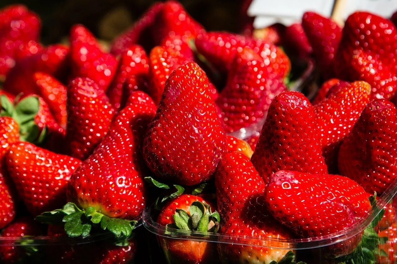 Сочная земляника. Сочная клубника. клубника кустовая. черная клубника. вкуснейшая клубника.