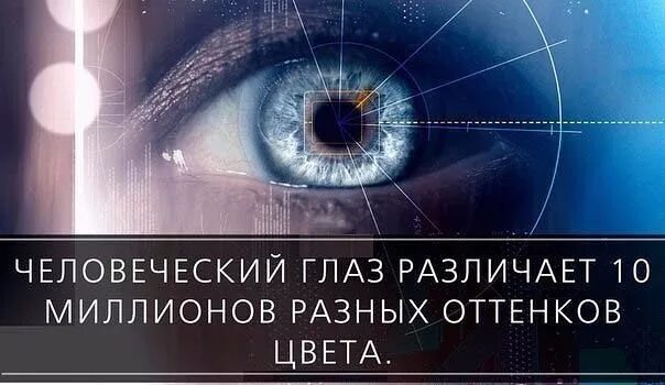 Вижу слышу ощущаю