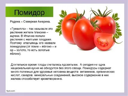 Во сколько ребенку можно помидоры