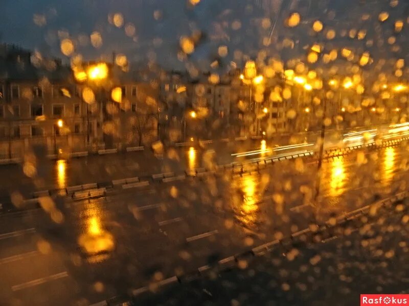 Фотография золотого дождик. Золотые дожди МСК. Фото Золотая дождливая. Золотой дождь Эстетика.