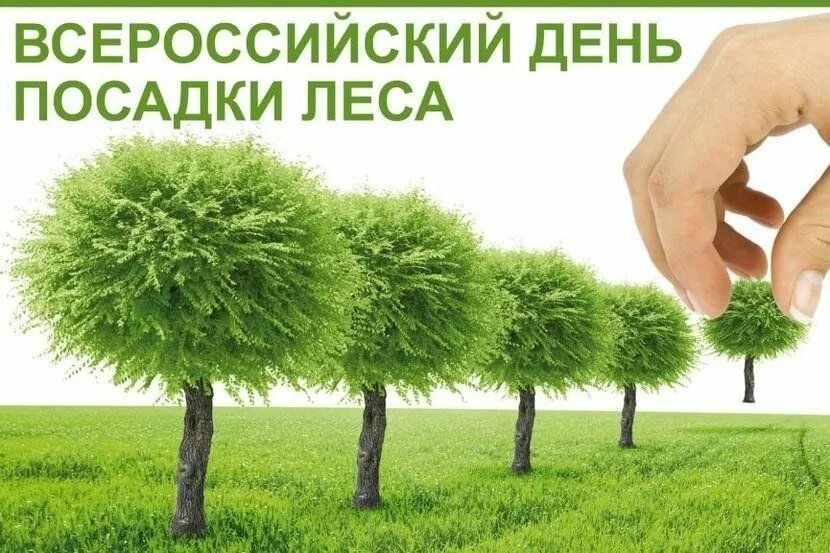 День леса в мае. Посадка деревьев праздник. День леса в мае. Акция к международному дню леса. День леса в мае.