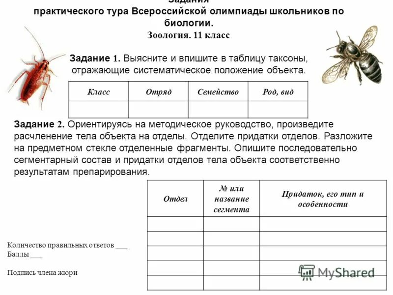 Биология лабораторные практические 10. Олимпиадные задачи по биологии 11 класс. Задания по Олимпиаде по биологии 7 класс. Интересные практические задания по биологии.