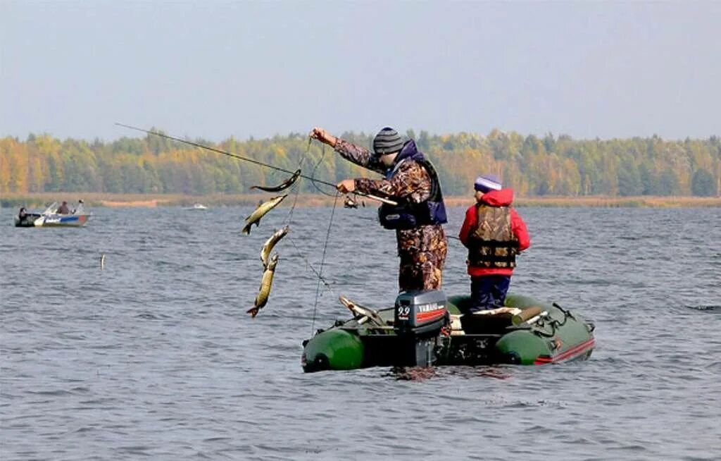 Истринское водохранилище рыбалка. Истра водохранилище рыбалка. Рыбалка река Раменка Истринское водохранилище. Ламишино рыбалка Истринское водохранилище.