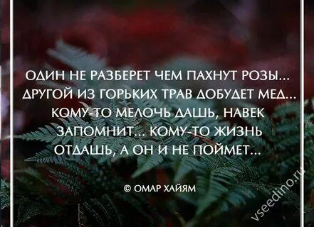 Сегодня нет времени завтра не будет