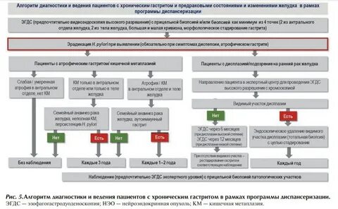 Гастрит смп