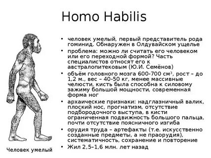 Человек умелый представители