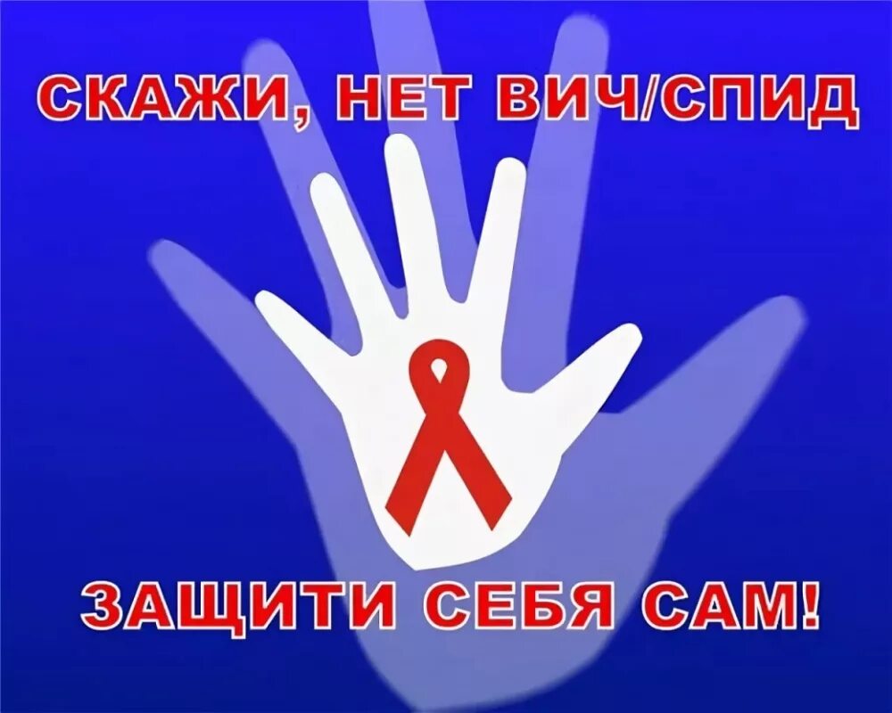 Спиде net