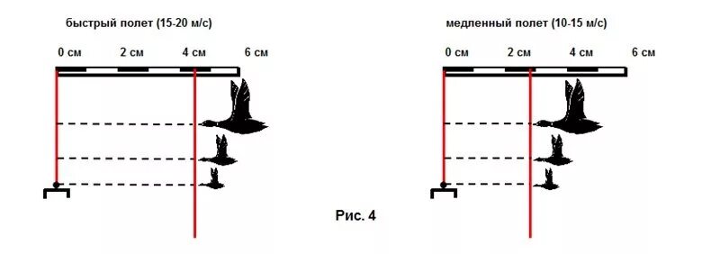 Скорость полета гуся. Скорость полета кряквы. Схема упреждения при стрельбе по утке. Как правильно стрелять утку. Как научиться стрелять по утке в лет.