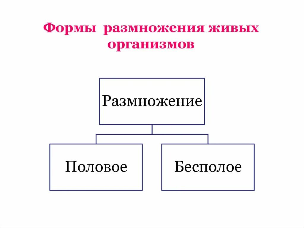 Схему "способы и формы размножения. Формы размножения биология 9 класс. Типы размножения схема. Формы бесполого размножения организмов.