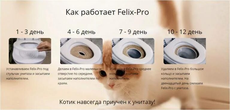 Котенок 2 дня не ходит в туалет. Как приучить кота к унитазу. инструкция приучения кота к унитазу. приспособление для приручения кота ходить в унитаз. туалет для приучения кошек к унитазу инструкция.