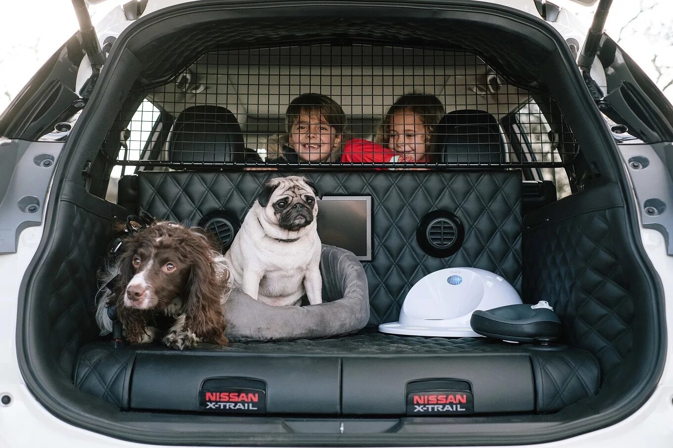 Car 4 pet. Ниссан 4dogs.. Ниссан х-Трейл для путешествий. Nissan for Dogs. Nissan x Trail and Dog.