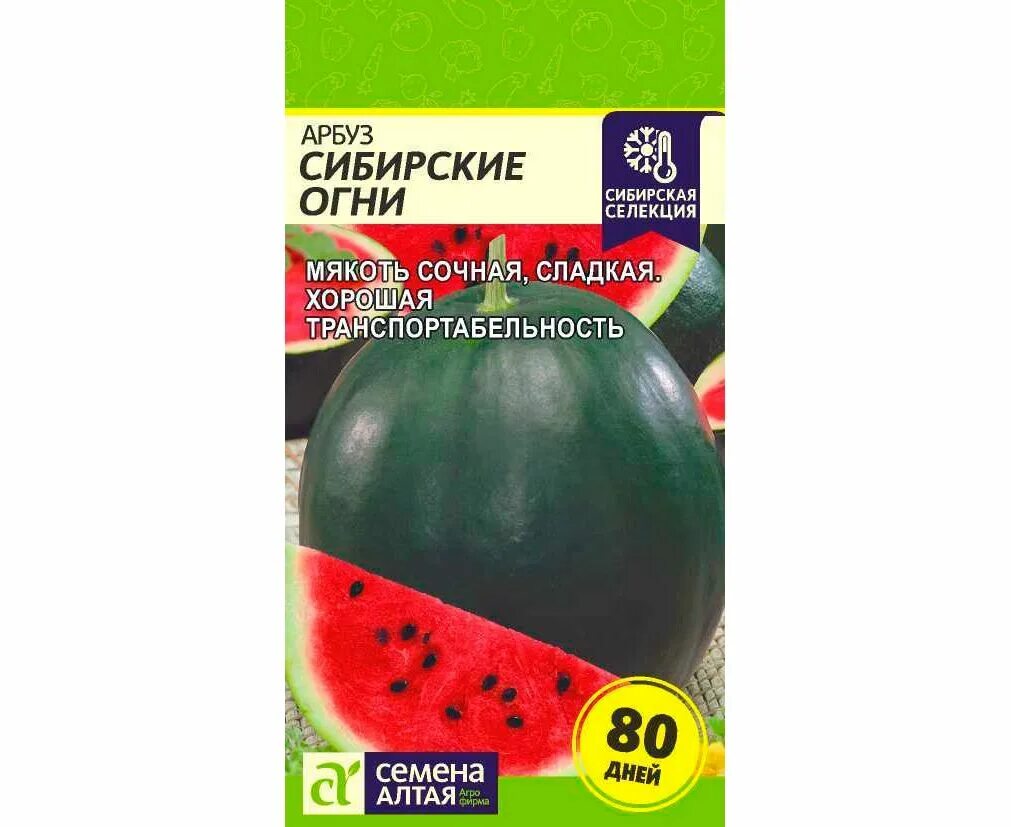 Арбуз ультраскороспелый уральский дачник. Арбуз скороспелый сахарный уральский дачник. Арбуз сибирские огни описание сорта. Арбуз уральский скороспел уральский дачник. Сорта арбуза сибирский.
