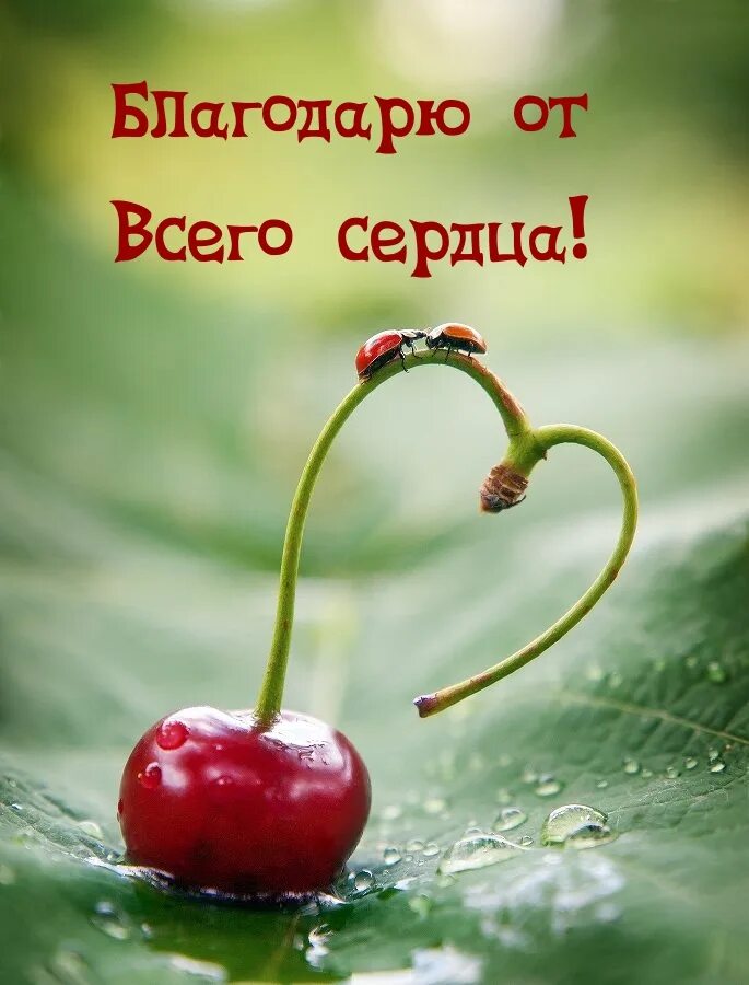 Доброго утра хорошего дня с сердечком