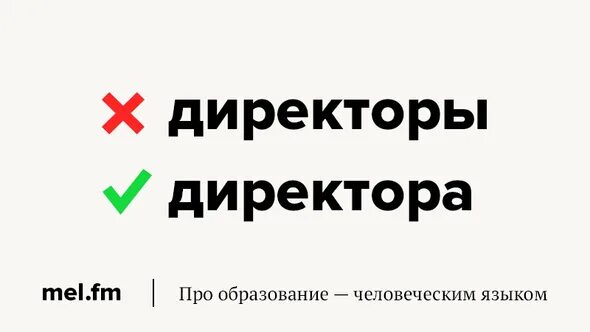 Инженер множественное число. Множественное число существительных профессор. Профессор множественное число. Директоры или директора как правильно во множественном. Директор множественное число.