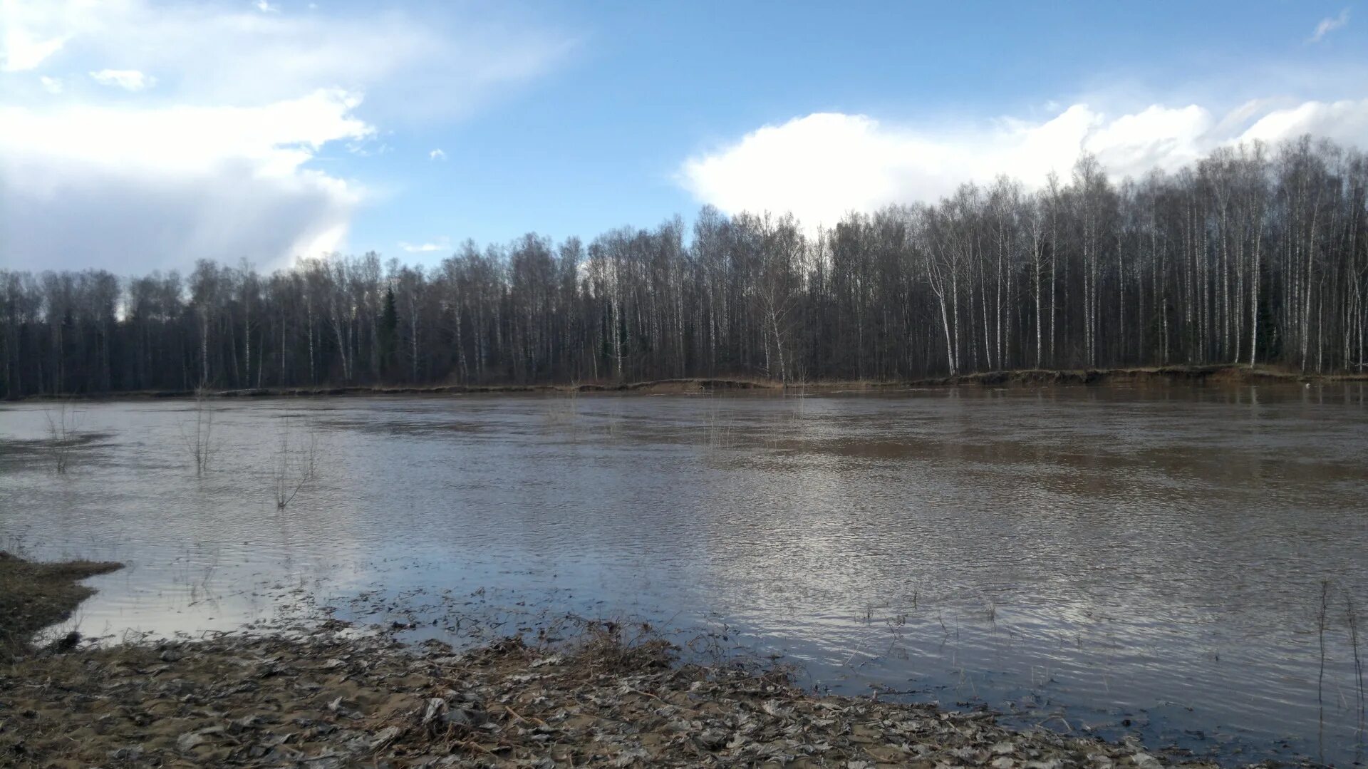 Течение реки чепца. Город глазов берег реки чепца. Обитатели реки чепцы. Кирово-чепецк вятка чепца. Река чепца ярский район.