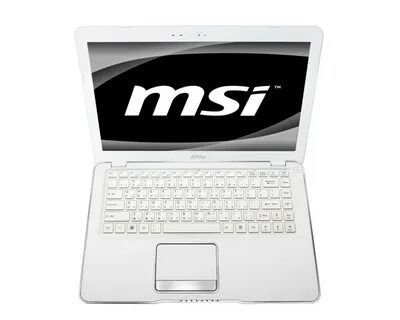 Msi x