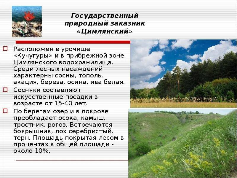 Природно заповедный фонд. Природно Заповедный фонд Ростовской области. Цимлянский государственный природный заказник. Охраняемые территории Ростовской области. ООПТ Ростовской области.