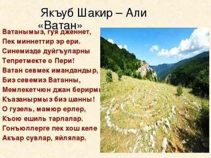 Ватан стихи