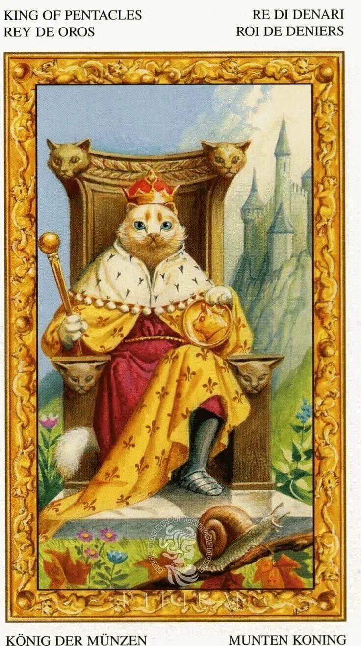 таро белый кот