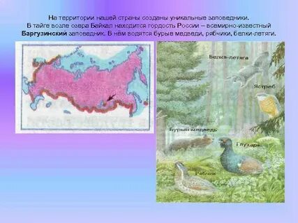 Назови 4 заповедника