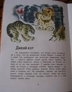 Дикий кот читать