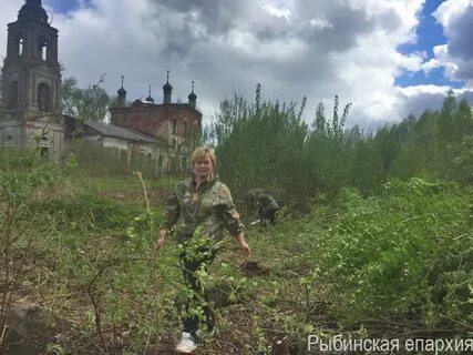 Погода ярославская область брейтовский