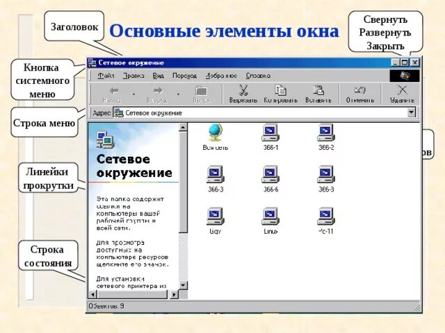 Представление файлов в окне