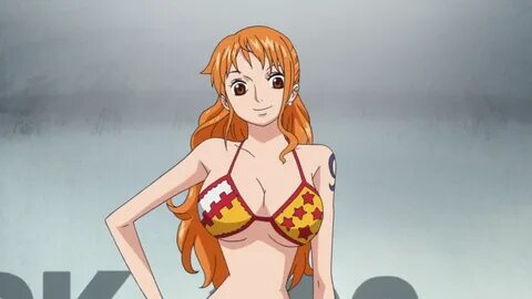 One piece echii