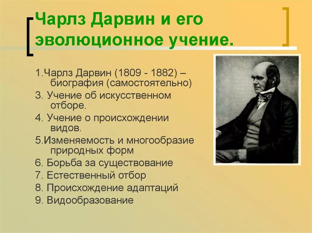 Открытия Дарвина в биологии. Адаптации дарвин