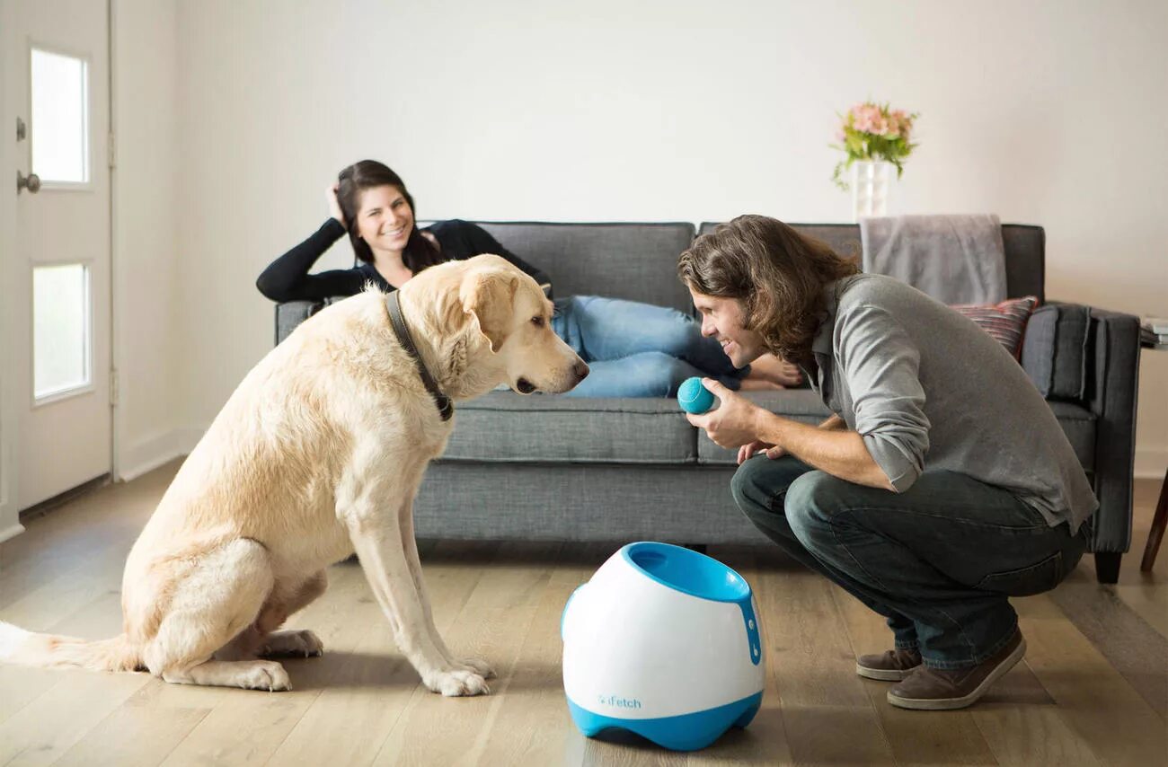 Pets at home. Pet home игрушка. pet разработка. креативная реклама собаки и люди. pet dog.