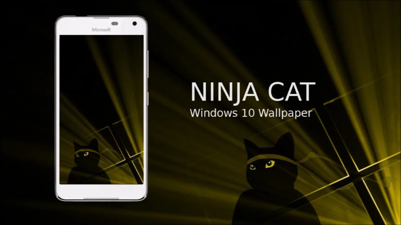 Кот ниндзя windows 10. Windows ninja cat. Обои windows 10. Ninja windows. Чёрный кот арт.