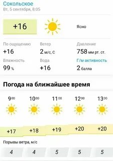 Погода на завтра нижегородская область город