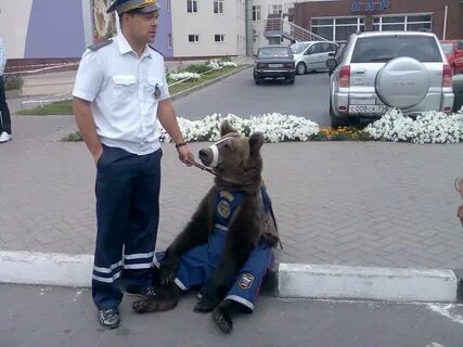 Смешные картинки полицейских