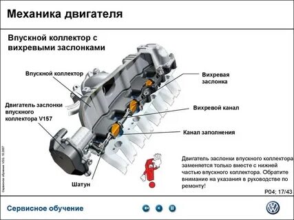 Где находится коллектор