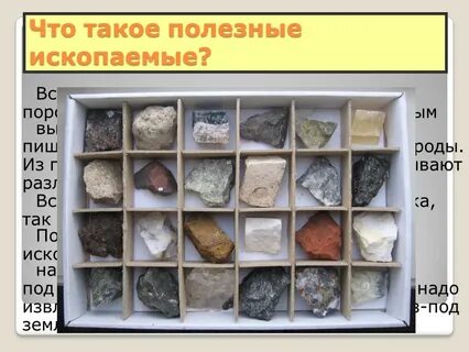 Загляни в кладовые земли 2