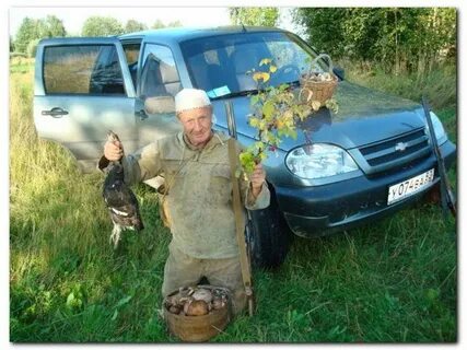 Погода в буреполоме