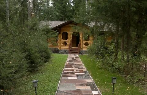 Березовая роща стреково