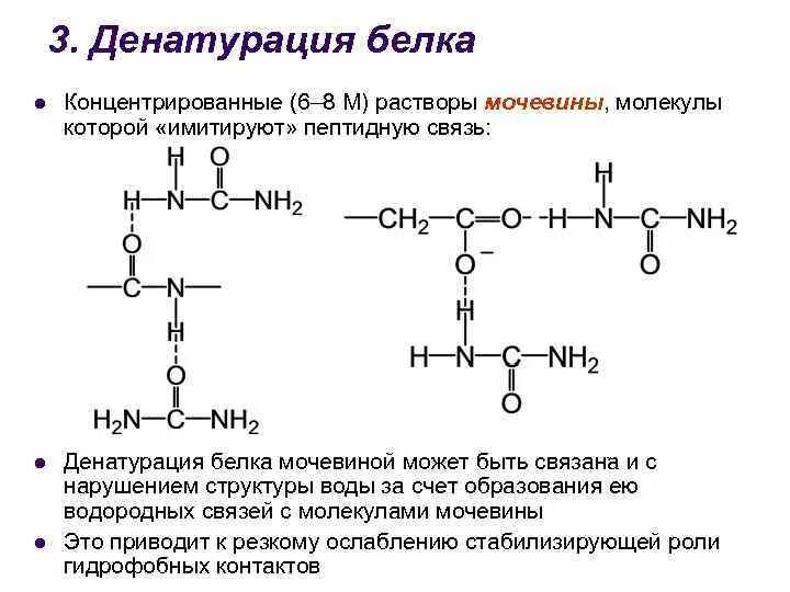 Белки вода реакция. Реакция термическая денатурация белка. Денатурация формула реакции. Денатурация белков формула. Денатурация белка реакция уравнение.