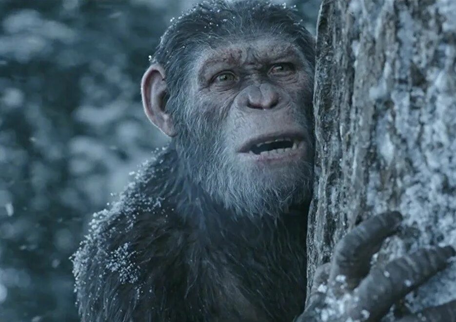 Caesar planet of the apes