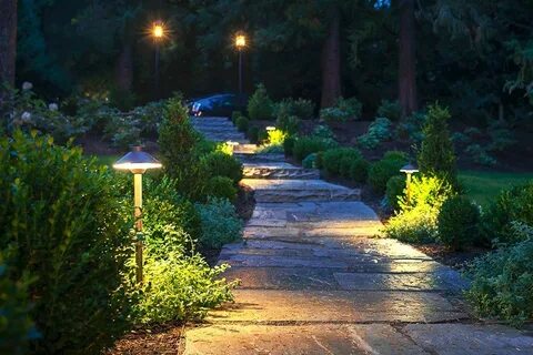 Light path